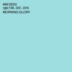 #9EDEE0 - Morning Glory Color Image